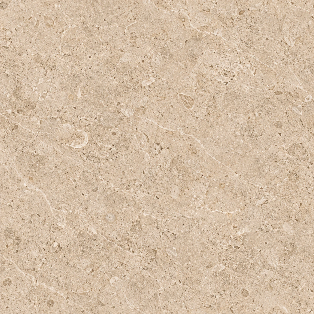 Beige limestone